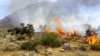 آتش سوزی در جنگل های بلوط پاوه در استان کرمانشاه ایران