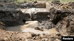 Sebuah patung yang menurut para pekerja menggambarkan Firaun Ramses II yang memerintah Mesir lebih dari 3.000 tahun yang lalu digali pada 9 Maret 2017. (Foto: Reuters)