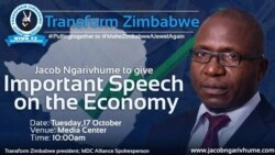 Opposition Leader Says Extended Negotiation Between Zimbabwe Military and President, Creating Anxiety