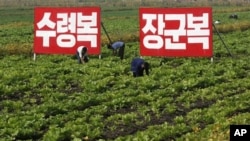 지난해 9월 북한 황해북도의 농촌 풍경. 김일성, 김정일에 대한 충성을 다짐하는 구호가 걸려있다.