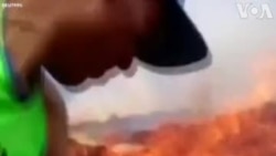 Պերուի բնակիչները փորձում են մարել անտառային հրդեհները ցախավելներով և բահերով