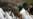 Few Kenyan Students Pass 2016 University Entrance Exam
