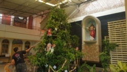 Pohon Natal dari benih pohon buah menghiasi depan Gereja Katolik Paroki Kristus Raja Surabaya (Petrus Riski/VOA)