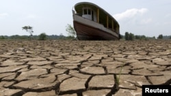 Une zone assèchée de l'Amazone asséchée à Manaus, au Brésil, le 26 octobre 2015.