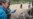 US Secretary of Interior Calls for Swift Action to Stop Poaching