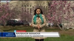 Amerika Manzaralari/Exploring America, March 28, 2016