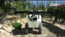 Новые технологии смогут существенно облегчить труд фермеров