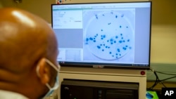 FILE - Sandile Cele, a researcher at the Africa Health Research Institute in Durban, South Africa, works on the omicron variant of the COVID-19 virus, Dec. 15, 2021. 