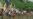 1 Killed After Cambodian Garment Workers Protest Turns Violent