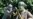 US Celebrates Independence Amid Push to Remove Symbols of Pro-Slavery Legacy