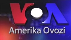 Vazirlikka nomzodlar Senat e'tiborida