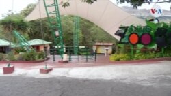 Debilitada la economía de los zoológicos por falta de visitantes