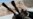 Diplomatic Moves Boosted to Prevent Idlib Bloodbath