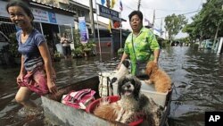 Residents push their dogs and belongings in a make-shift container as they wade through a flooded street in Bangkok, Sunday, October 23, 2011.