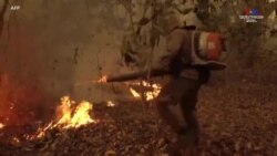 Լուրեր ԱՄՆ-ից. Սեպտեմբերի 16