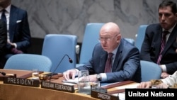 U.S. -- Russian Ambassador to the United Nations Vasily Nebenzya addresses a U.N. Security Council meeting on Syria, at U.N. headquarters in New York, September 19, 2019