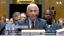 弗契在新冠听证会上援引《第五修正案》拒绝回答问题