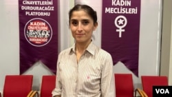 Ceylan Akca Cupolo, Dem Party MP