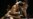 Afghans Find Distraction From War in Mixed Martial Arts