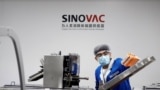 FILE PHOTO: A man works in the packaging facility of Chinese vaccine maker Sinovac Biotech, developing an experimental coronavirus disease (COVID-19) vaccine, during a government-organized media tour in Beijing, China, September 24, 2020. REUTERS/Thomas P