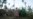 Vanuatu Provides Lessons in Cyclone Survival