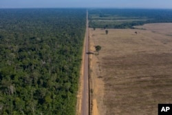 Jalan raya BR-163 yang membelah Hutan Nasional Tapajos, kiri, dan ladang kedelai di Belterra, negara bagian Para, Brazil pada 25 November 2019. (Foto: AP)