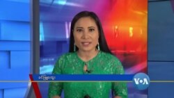 နေ့စဉ် တီဗွီသတင်းလွှာ (၀၅-၂၅-၂၀၂၀)