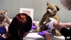 Gallery stylists position antique Winnie the Pooh bears while preparing the "Winnie-the-Pooh: Exploring a Classic" exhibit at the Museum of Fine Arts in Boston, Sept. 13, 2018.