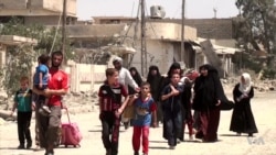 Families Say IS in Mosul is Shrinking in Size but Increasingly Vicious