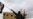 Siria: Suicidas dejan 28 muertos