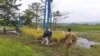 Poso Energy Uji Coba Teknologi Padi Sawah Apung di Tepian Danau Poso 