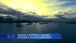 Majami, Historia e Allison Norlandit