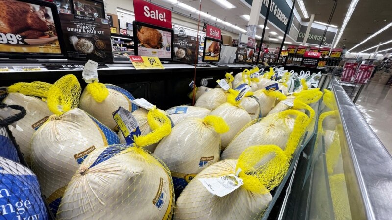 Lower turkey costs set table for cheaper US Thanksgiving feast this year