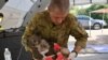 A member of the Australian Defence Force picks up an injured Koala after it was treated for burns at a makeshift field hospital at the Kangaroo Island Wildlife Park on Kangaroo Island.