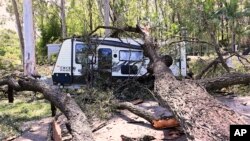 A fallen tree lays across a camping trailer near the Gold Coast, Australia, Dec. 26, 2023. 