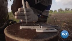 Mobile DNA Analysis Device Helps Farmers Fight Crop Diseases