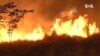 Brazil Amazon Fires - USAGM