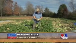 Amerikaning yangi dehqonlari - Beginning Farmers