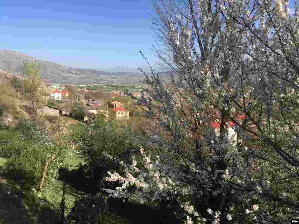 کلاردشت عکس: آیما (ارسالی شما) 