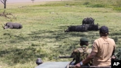 Lewa Wildlife Conservancy head of conservation and wildlife Dominic Maringa, right, gestures in the company of rangers during the annual wildlife count at Lewa Wildlife Conservancy, Northern Kenya, Feb. 27, 2025.