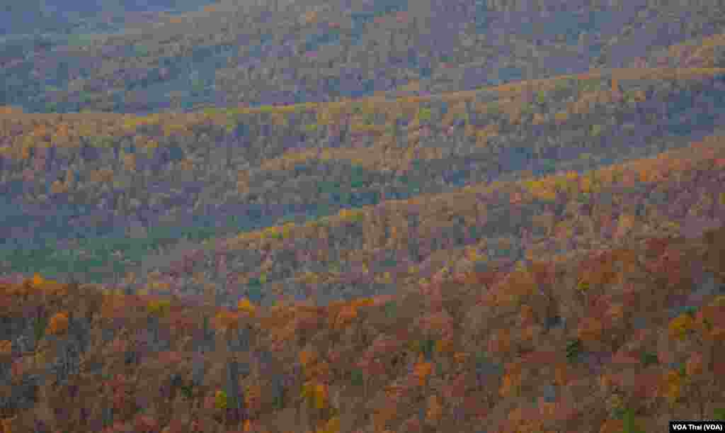 Shenandoah National Park&nbsp;