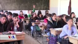 Li Xwendingehên Efrînê Qîz û Law bi Hevre Dixwînin