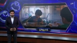 ویژه برنامۀ تکنالوژی کاروان 