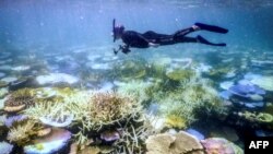 ລາຍການກະຈາຍສຽງຂອງວີໂອເອ ລາວ: ການສຶກສາໄລຍະຍາວຊີ້ໃຫ້ເຫັນວ່າ ການໃຊ້ເວລາຢູ່ໃນທຳມະຊາດທີ່ມີຕົ້ນໄມ້ສີຂຽວ, ຫຼືໃນນ້ຳ, ສາມາດຊ່ວຍປ້ອງກັນໂຣກຫົວໃຈໄດ້ດ້ວຍ