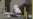 16x9 Image