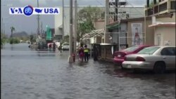 Manchetes Americanas 29 Agosto: Furacão Maria matou cerca de 3 mil pessoas em Porto Rico