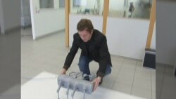 Scientists Looking Inside Living Insects