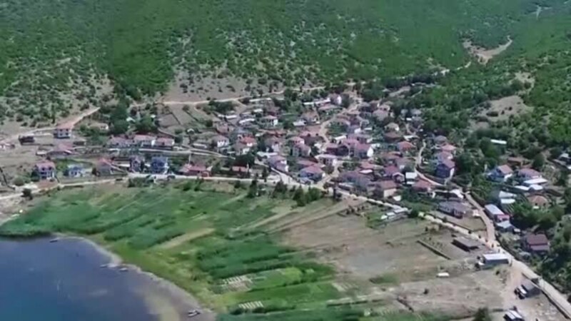Ќе го откупам сиот планински чај од Мала Преспа и ќе го продавам во Америка, вели сопственик на бизнис во Чикаго