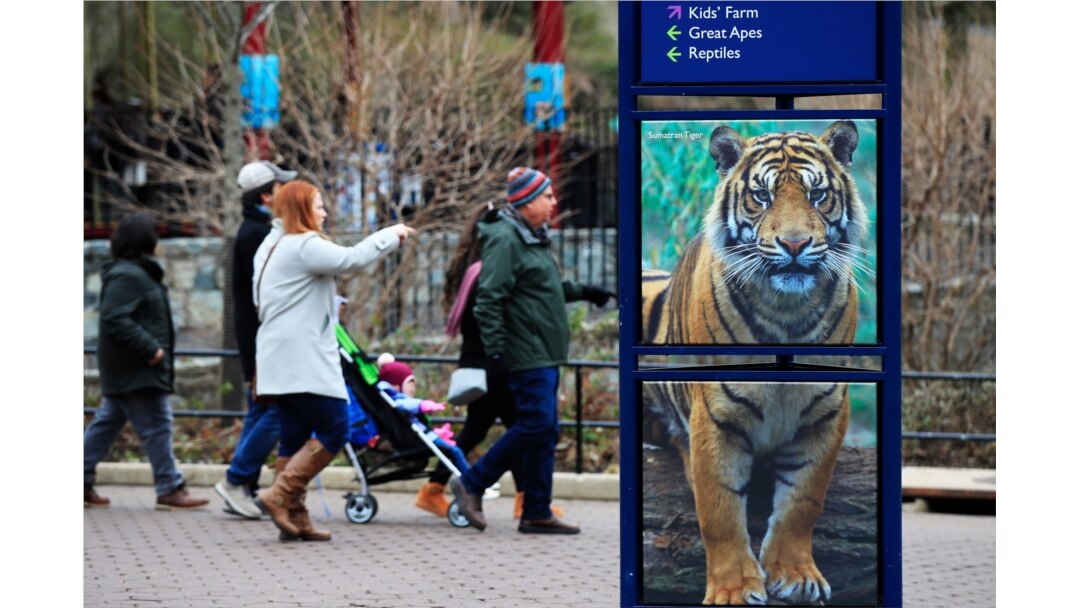 ARCHIVO - Visitantes en el Zoológico Nacional del Instituto Smithsonian, en Washington D.C., uno de los lugares turísticos más populares en la capital estadounidense. Dic. 31, 2018.