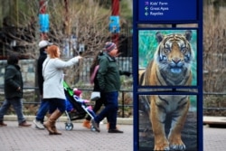 ARCHIVO - Visitantes en el Zoológico Nacional del Instituto Smithsonian, en Washington D.C., uno de los lugares turísticos más populares en la capital estadounidense. Dic. 31, 2018.